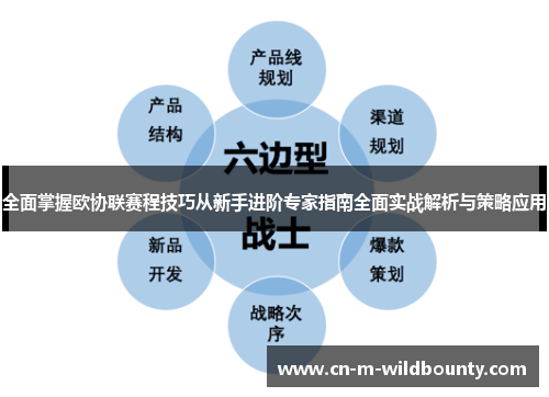 全面掌握欧协联赛程技巧从新手进阶专家指南全面实战解析与策略应用