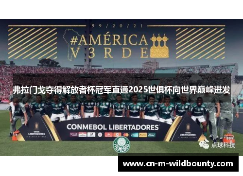 弗拉门戈夺得解放者杯冠军直通2025世俱杯向世界巅峰进发