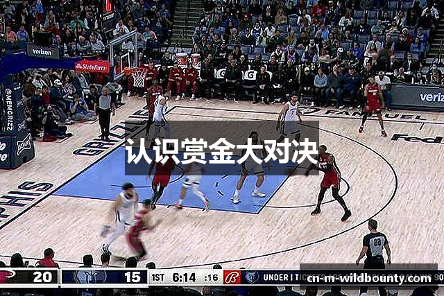 认识赏金大对决